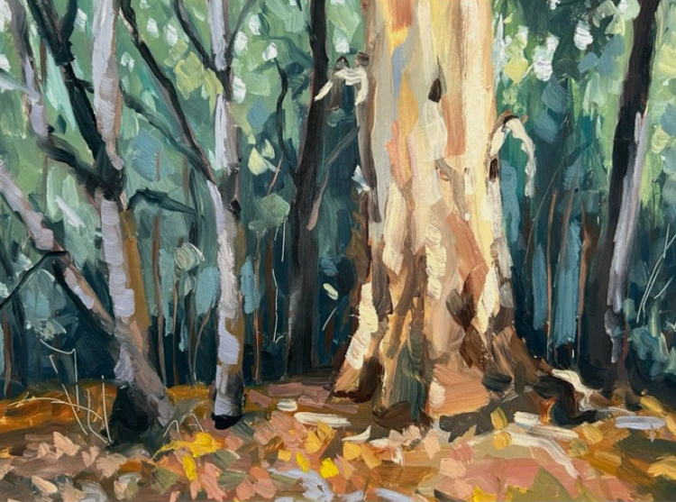 Expressive Acrylic Landscapes in Tasmania
