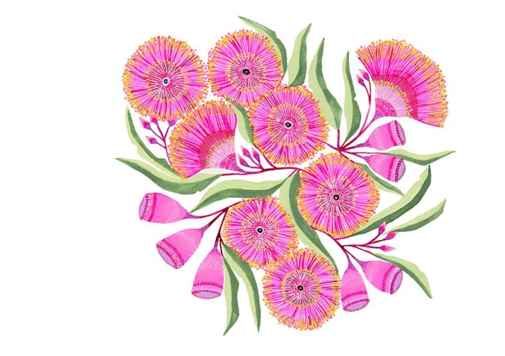 Bloom Boldly: Mixed Australian Wildflowers