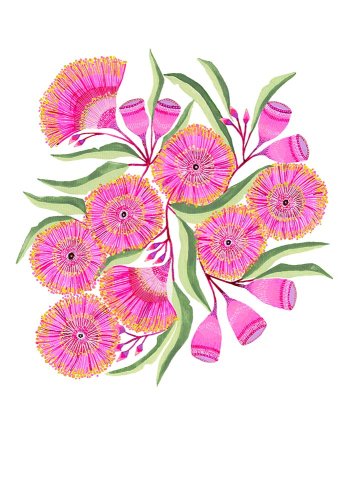 Bloom Boldly: Mixed Australian Wildflowers