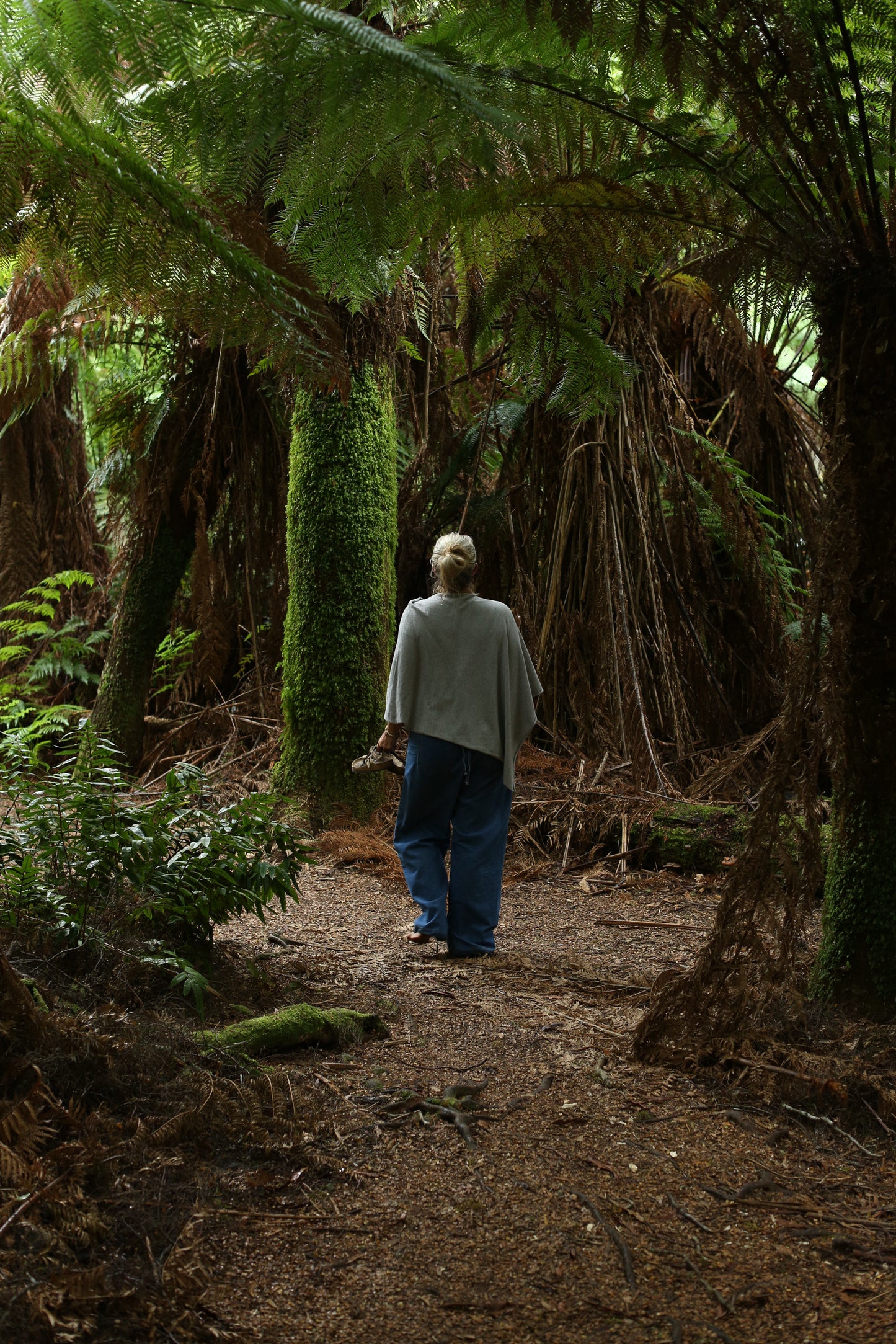 Creative Bloom in Tasmania 2027 with visiting international artist