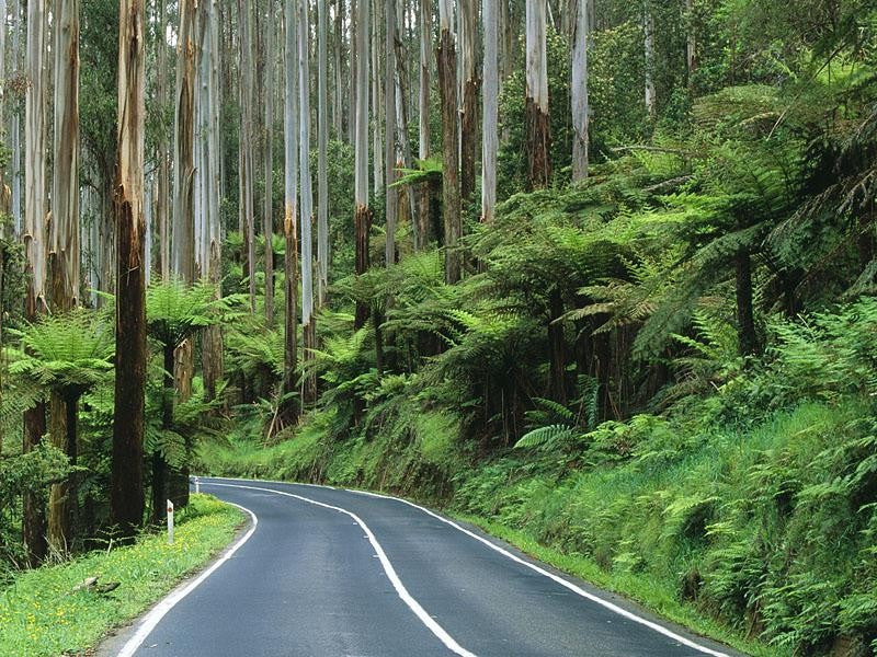 Fast and Loose Landscapes in Tasmania