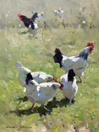 Oil/Acrylic Landscapes in Tasmania