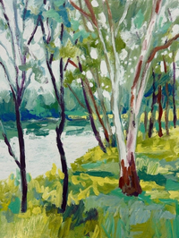 Expressive Acrylic Landscapes in Tasmania