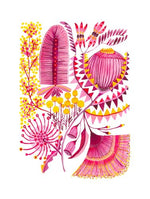 Bloom Boldly: Mixed Australian Wildflowers