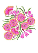 Bloom Boldly: Mixed Australian Wildflowers