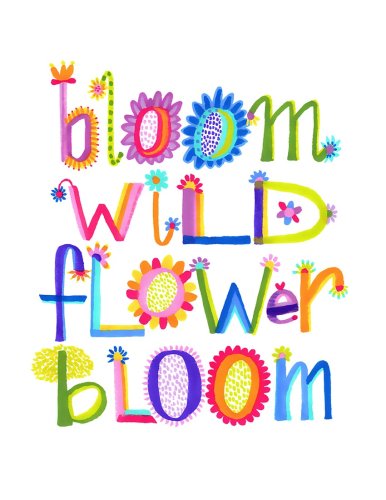 Bloom Boldly: Mixed Australian Wildflowers