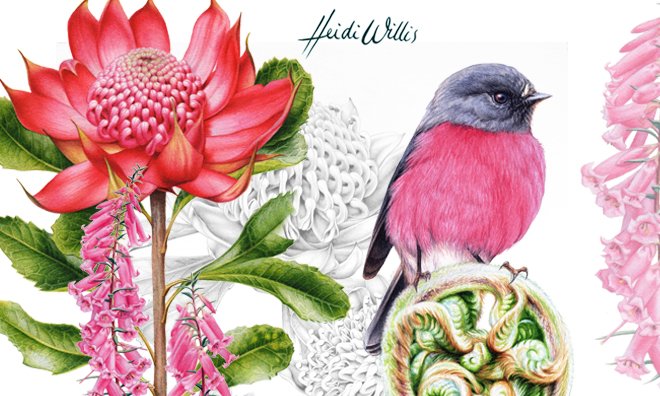 Birds & Bush Botanical Watercolour in Tasmania
