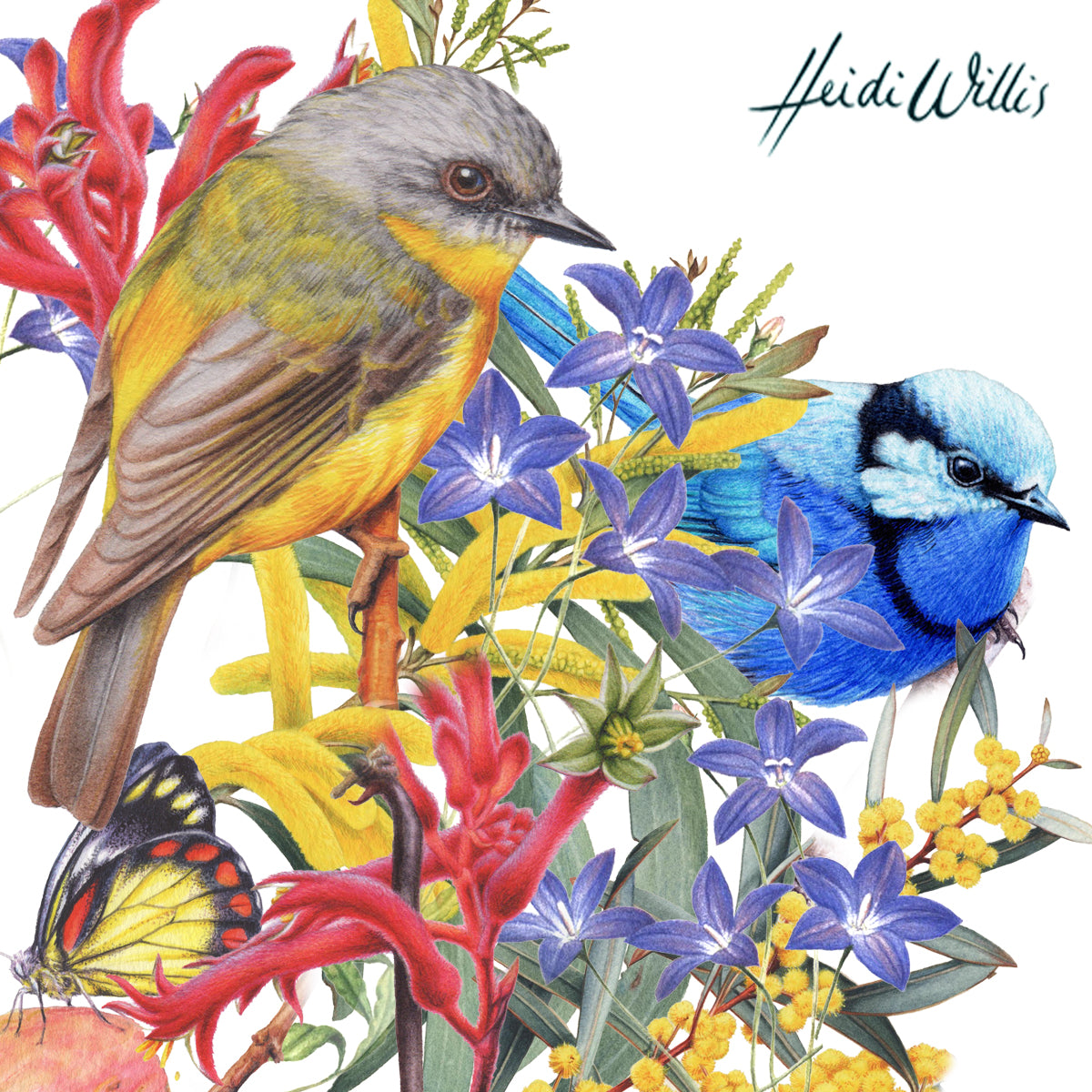 Small Bird & Botanical Studies in Watercolour