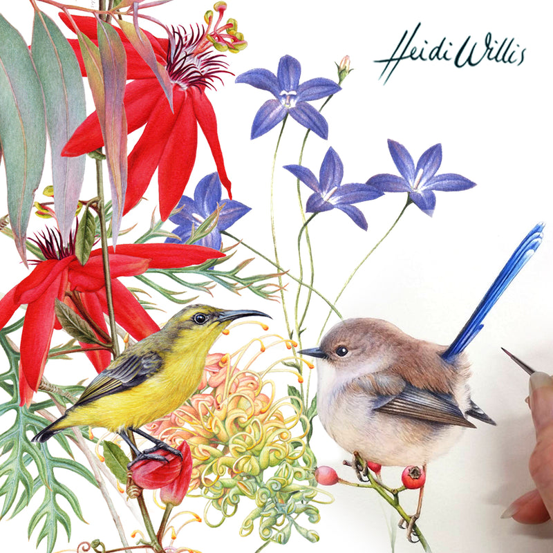 Small Bird & Botanical Study in Watercolour