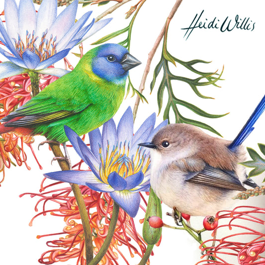 Classic Styled Bird/Botanical Combo in Watercolour