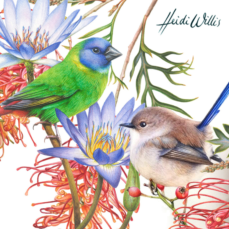 Classic Styled Bird/Botanical Combo in Watercolour