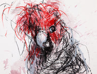 Expressive Drawing for Everyone