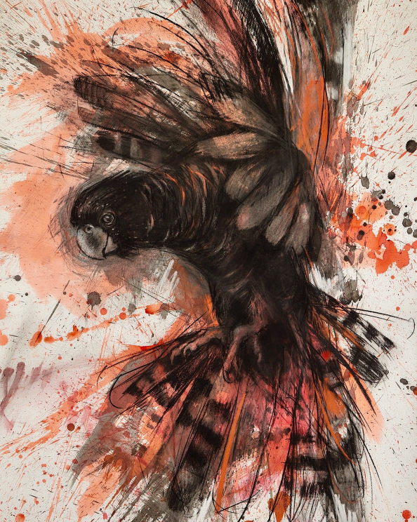 Expressive Drawing for Everyone