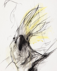 Expressive Drawing for Everyone
