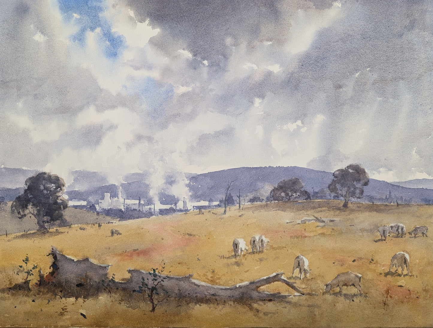 Plein Air in Tasmania 2027