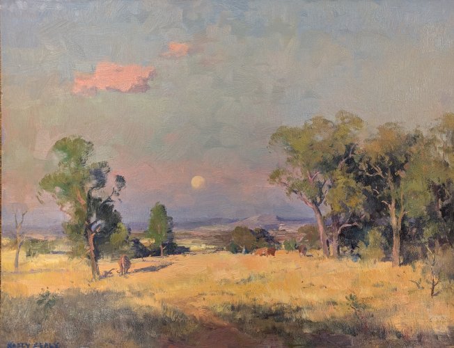 All You Need to Know about Oil Landscapes