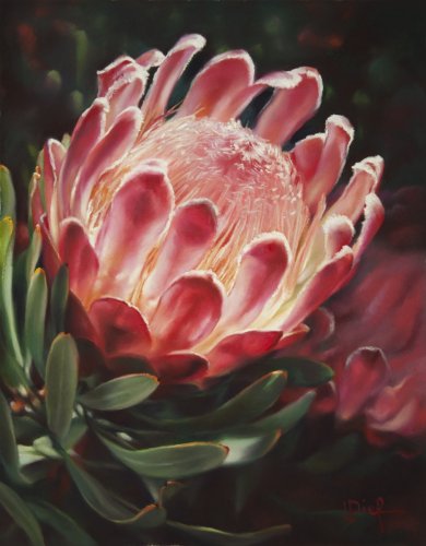 Pastels with a side of journalling in Tasmania