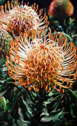 Pastels with a side of journalling in Tasmania