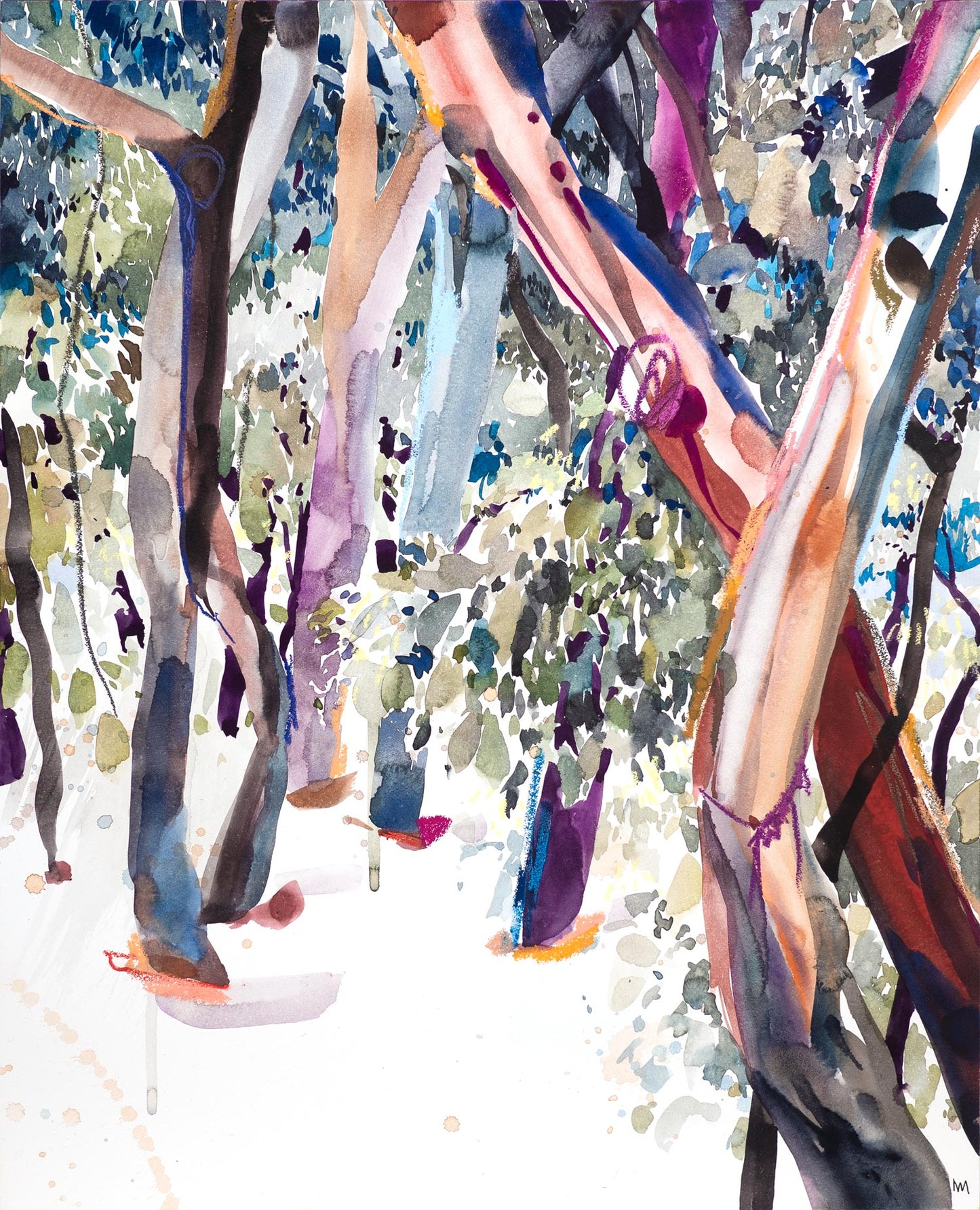 Watercolour Botanicals & Landscapes in Tasmania 2027