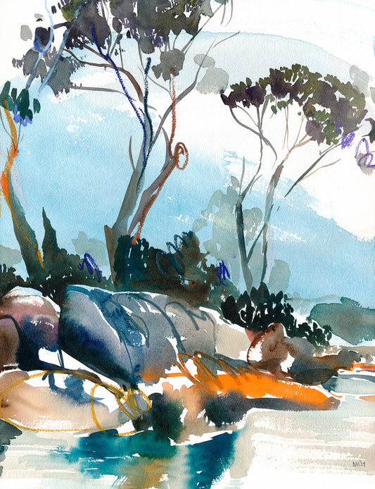 Watercolour Botanicals & Landscapes in Tasmania 2027