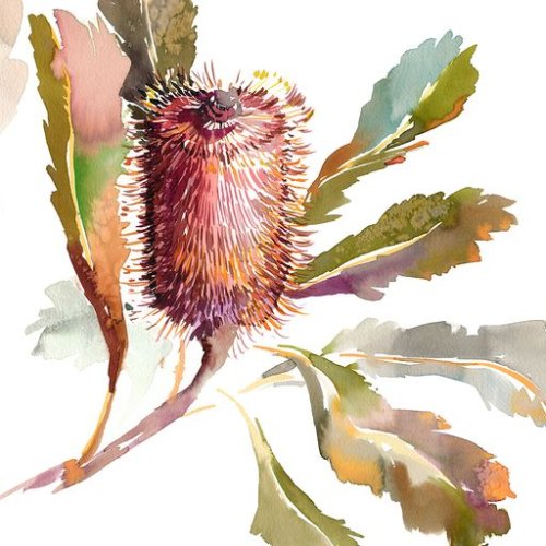 Contemporary Botanicals in Watercolour