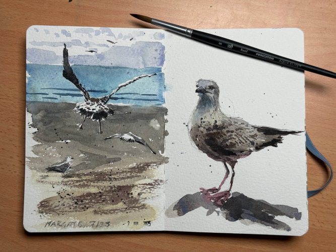 Elements of Nature in Watercolour