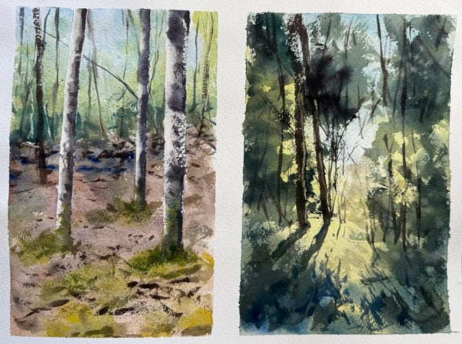Elements of Nature in Watercolour