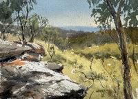 Elements of Nature in Watercolour