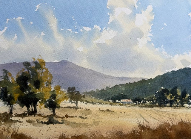 Elements of Nature in Watercolour