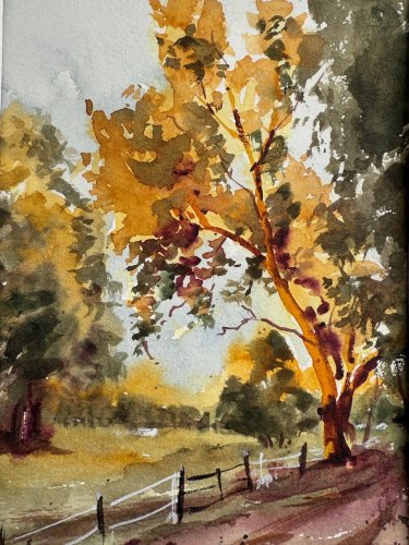 Elements of Nature in Watercolour