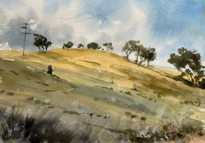 Elements of Nature in Watercolour