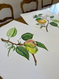 Foundations of Watercolour Painting for Beginners