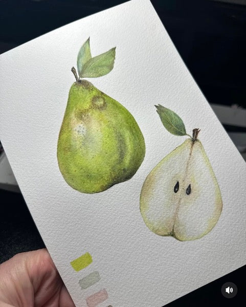 Foundations of Watercolour Painting for Beginners