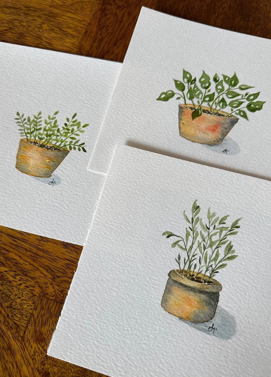 Foundations of Watercolour Painting for Beginners