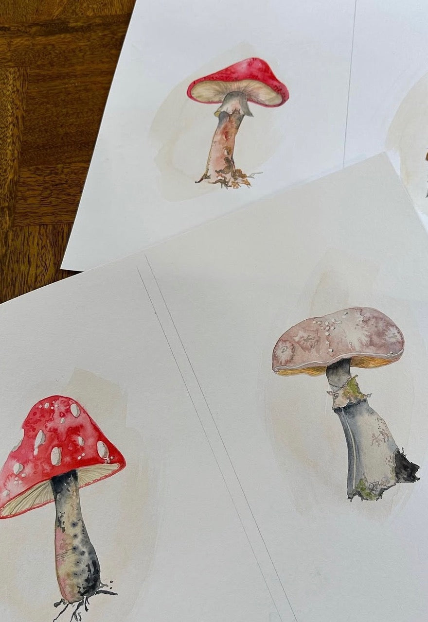 Foundations of Watercolour Painting for Beginners