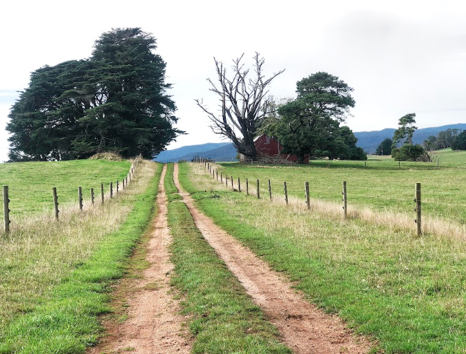 Watercolour Explorations in Tasmania