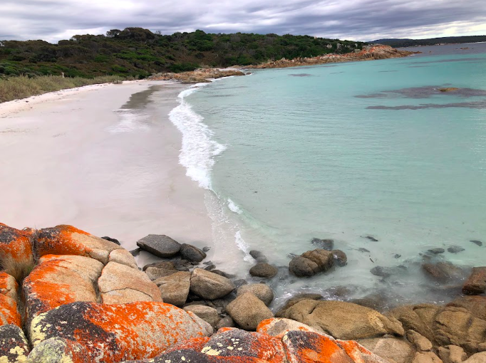 Watercolour Explorations in Tasmania