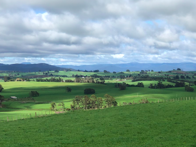 Watercolour Explorations in Tasmania