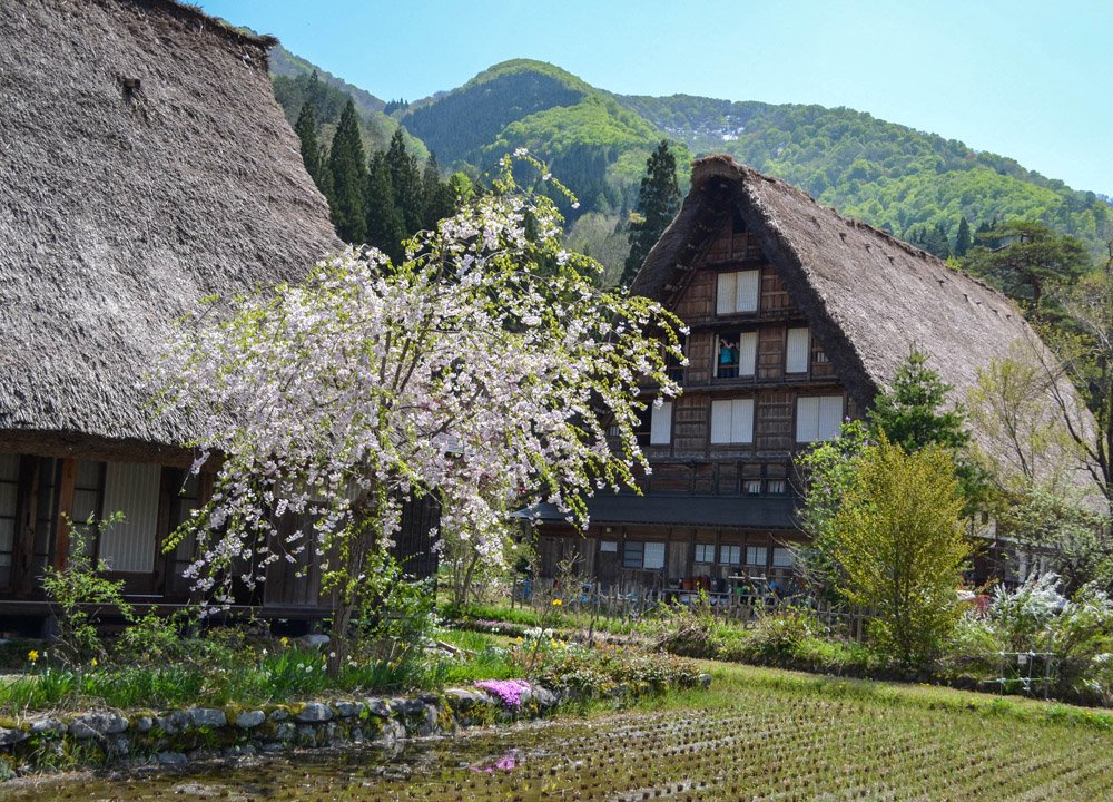 Travel Journals or Pastels in the Countryside of Japan