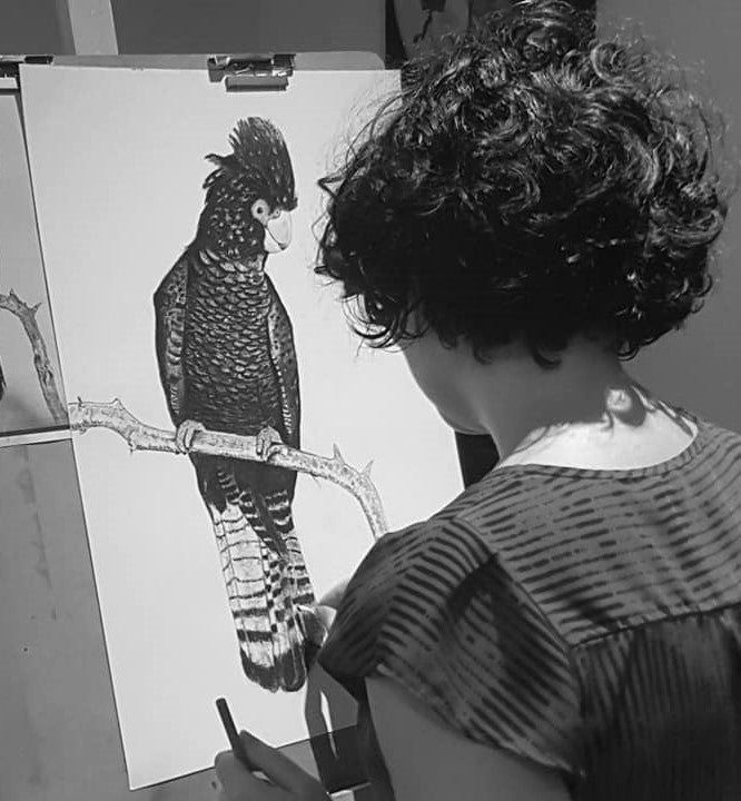 Foundations in Drawing for Beginners