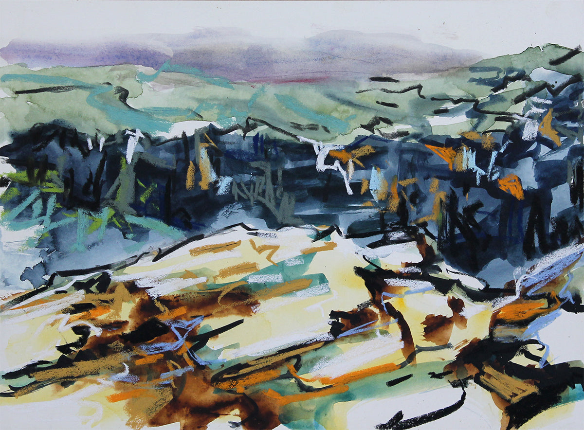 Fast and Loose Landscapes in Tasmania