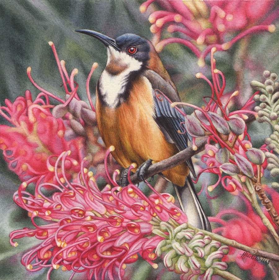 Painting of a Heidi Willis bird perched on a branch among pink flowers