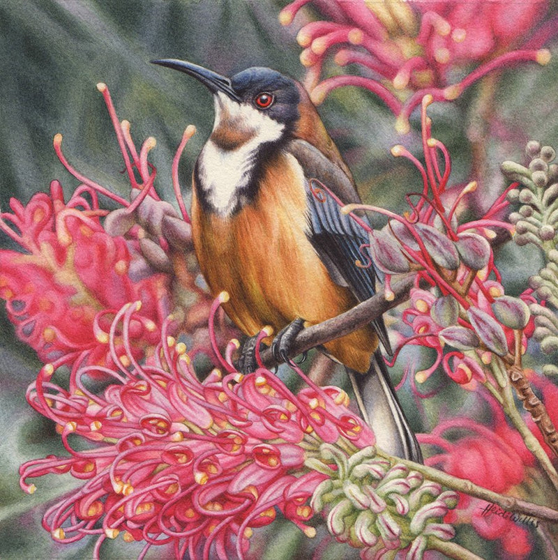 Painting of a Heidi Willis bird perched on a branch among pink flowers