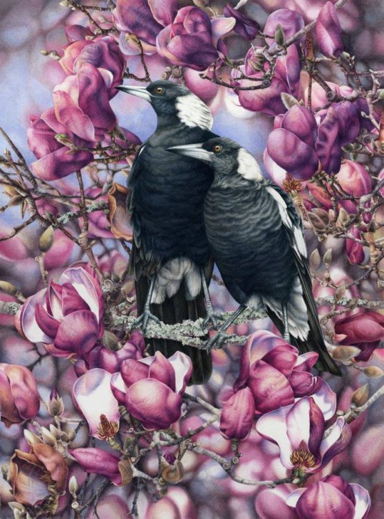 Birds & Bush Botanical Watercolour in Tasmania