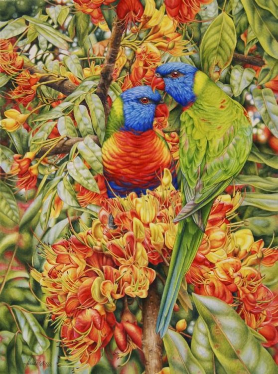 Birds & Bush Botanical Watercolour in Tasmania