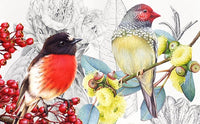 Birds & Bush Botanical Watercolour in Tasmania