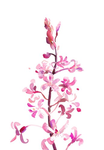 Contemporary Botanicals in Watercolour