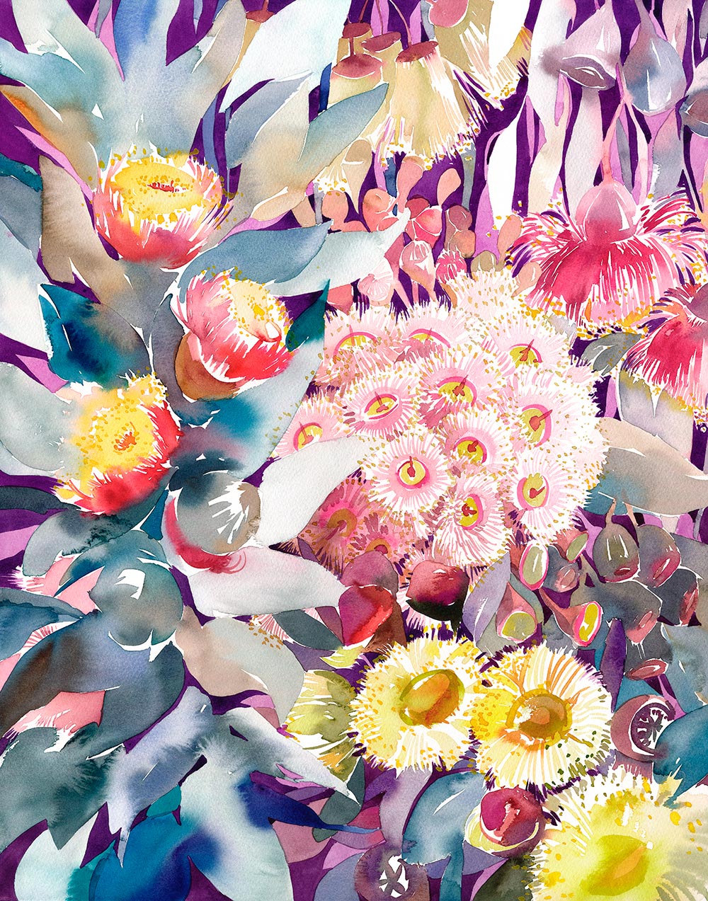 Contemporary Watercolour Wildflowers, Perth [NM-W-Jan27]